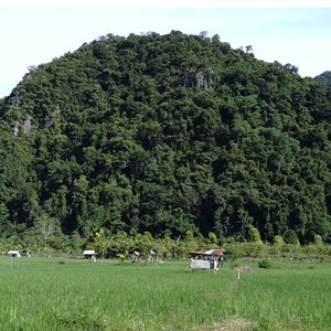 bisikan rindu