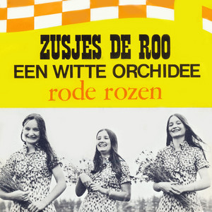 Een Witte Orchidee