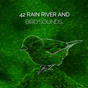 Thunder Soft Rain