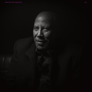 Abichu Nega Nega — Hailu Mergia