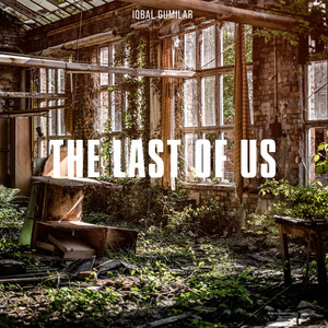 The Last of Us - Acoustic Guitar Version