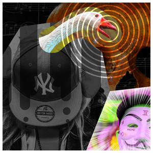 Diss rap for your complaint