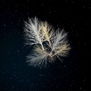 Next to Nothing by Alien Circle