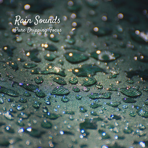 Rain Sounds: Pure Dripping Focus album