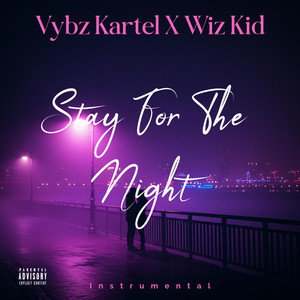 Vybz kartel X Wiz Kid (Stay For The Night) Instru