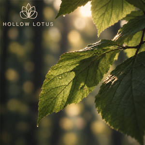 Forest After Rain by Hollow Lotus