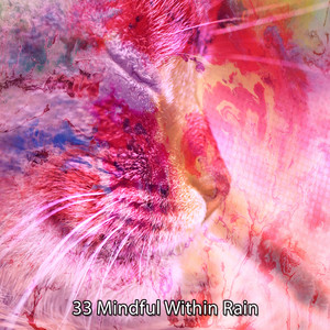 33 Mindful Within Rain album