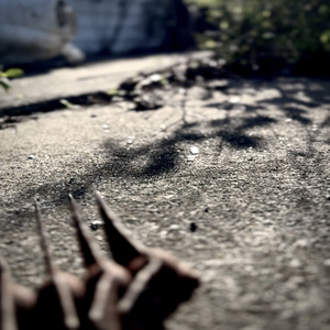 Bones by Black Magic Super Death Cult.