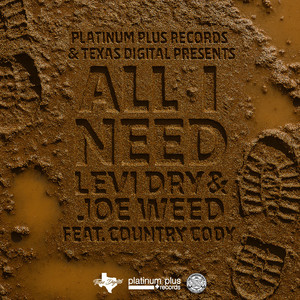 All I Need by Levi Dry, Joe Weed, Country Cody