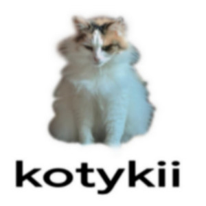 kotykii