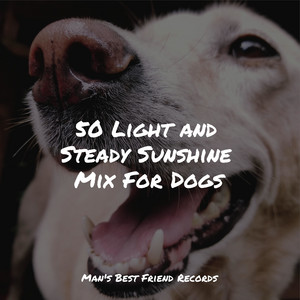 50 Light and Steady Sunshine Mix For Dogs album