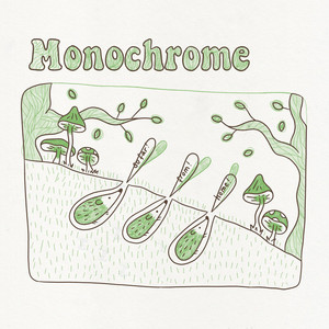 Monochrome by Shuttle