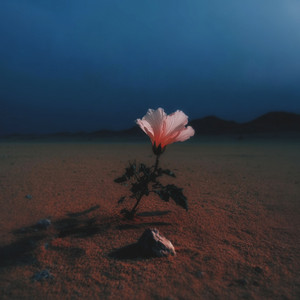 Lily Juniper — Who Am I, You? (2026)
