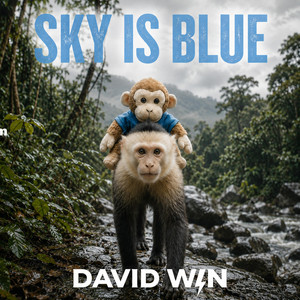 SKY IS BLUE