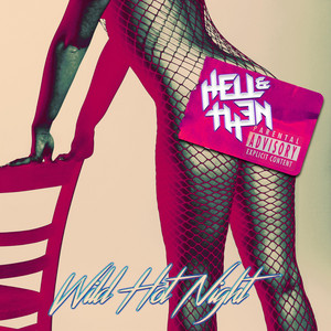 Wild Hot Night