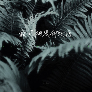 敢问相思何处医（合唱版） by 乔洋, 含大仙儿