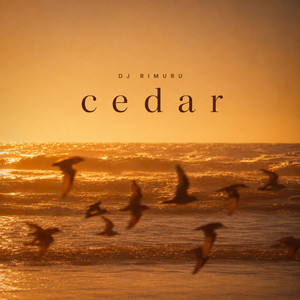 cedar by dj rimuru