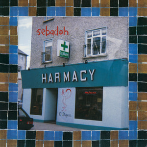 & レコード LP Sebadoh Bubble Scrape