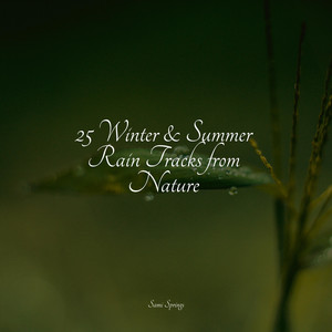25 Winter & Summer Rain Tracks from Nature album