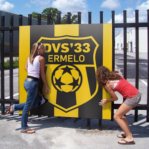 Hup DVS