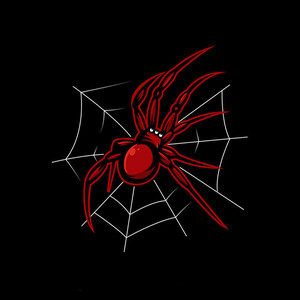 SoulProdMusic - Spider