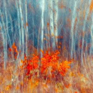 gentle autumn sun by ryan nick