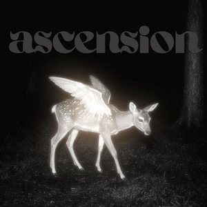 aelumed - ascension - the ending