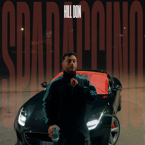 SPADACCINO by HILL DON