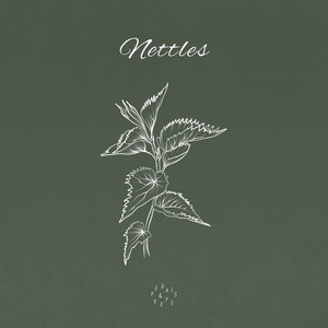 Nettles - Piano Version by Kieran