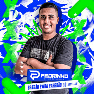 Pedrinho O Fera dos Paredões - Sem Explicação