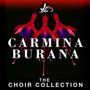 Carmina Burana: VI. Tanz