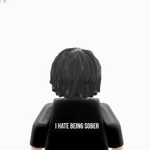 I Hate Being Sober