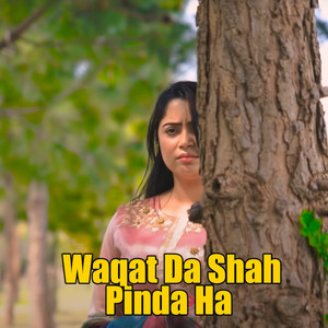 Tanveer Anjum - Wadi Haan Golaindi