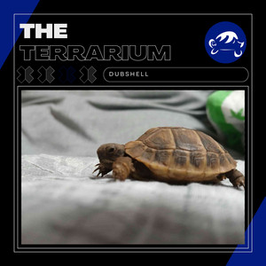 DubShell - Welcome to the terrarium