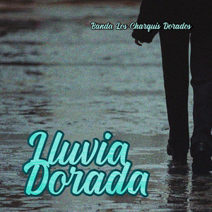 Lluvia Dorada by Banda Los Charquis Dorados