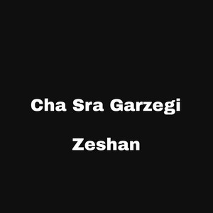 Zeshan - Cha Sra Garzegi