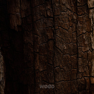 The Long Path by WØØD, Fogrest