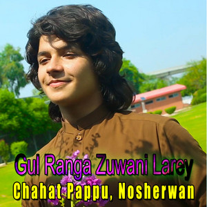 Chahat Pappu & Nosherwan - Gul Ranga Zuwani Larey