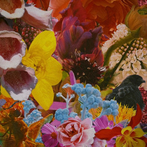 Ants in the Garden by Gillian Grogan