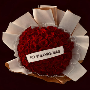 No Vuelvas Mas
