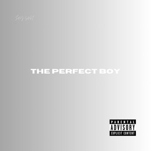 THE PERFECT BOY by Jay Sagi