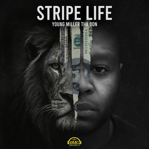 Stripe Life