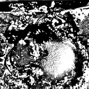 TxOxPxNxAx - Chapter 8