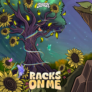 RACKS ON ME by BLOSSM