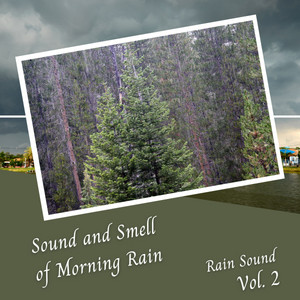 Rain Sound: Sound and Smell of Morning Rain Vol. 2 album