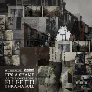 It's A Shame by A.P. Da Overlord, Fli Fetti, BhramaBull