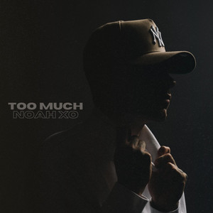 TOO MUCH by Noah XO