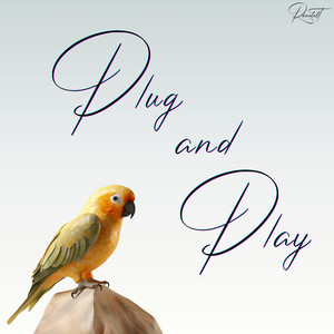 Plug and Play by Randolt