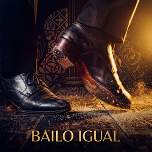Bailo Igual by Lande