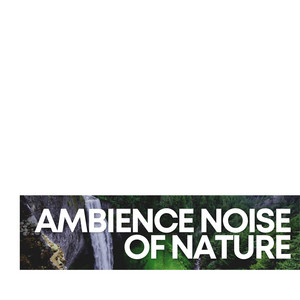 Ambience Noise of Nature album